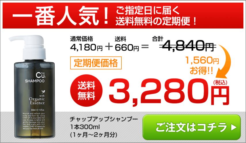 CHAP UP SHAMPOO　チャップアップシャンプーのおすすめ商品